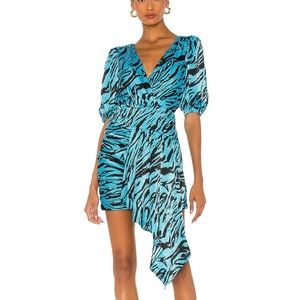 NWT Ronny Kobo Monica Dress in Ombre Tiger